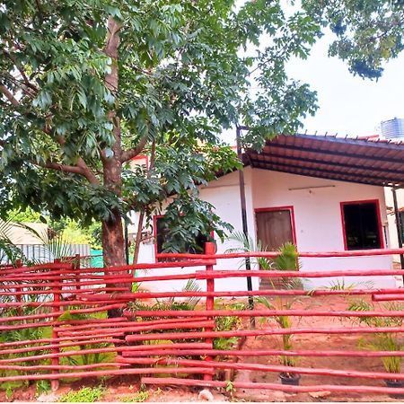 Golden Magnolia Homestay Bengaluru Kültér fotó
